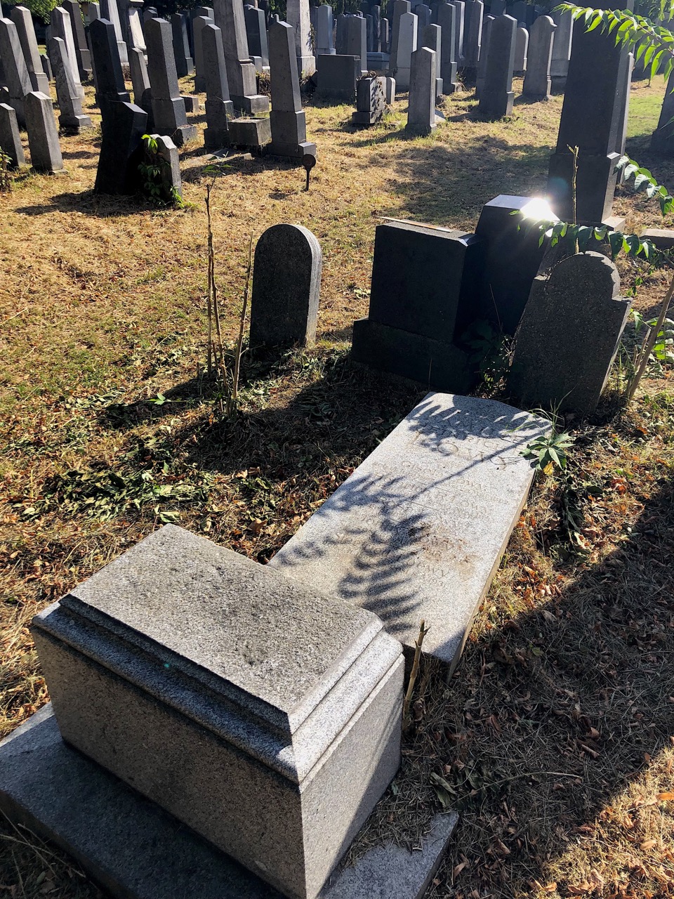 Color image of a grave at the Vienna Central Cemetery
